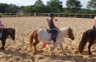 Lessons and pony ride in the riding school