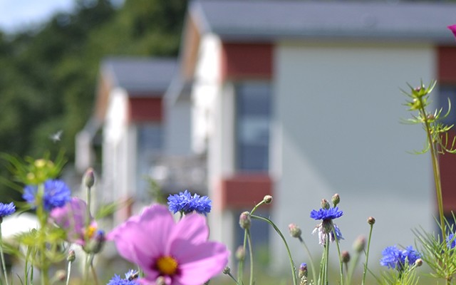 eine Öko-Ferienwohnung mitten in der Natur